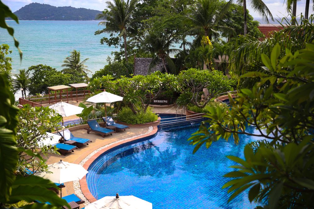 Novotel Phuket Resort фото 31