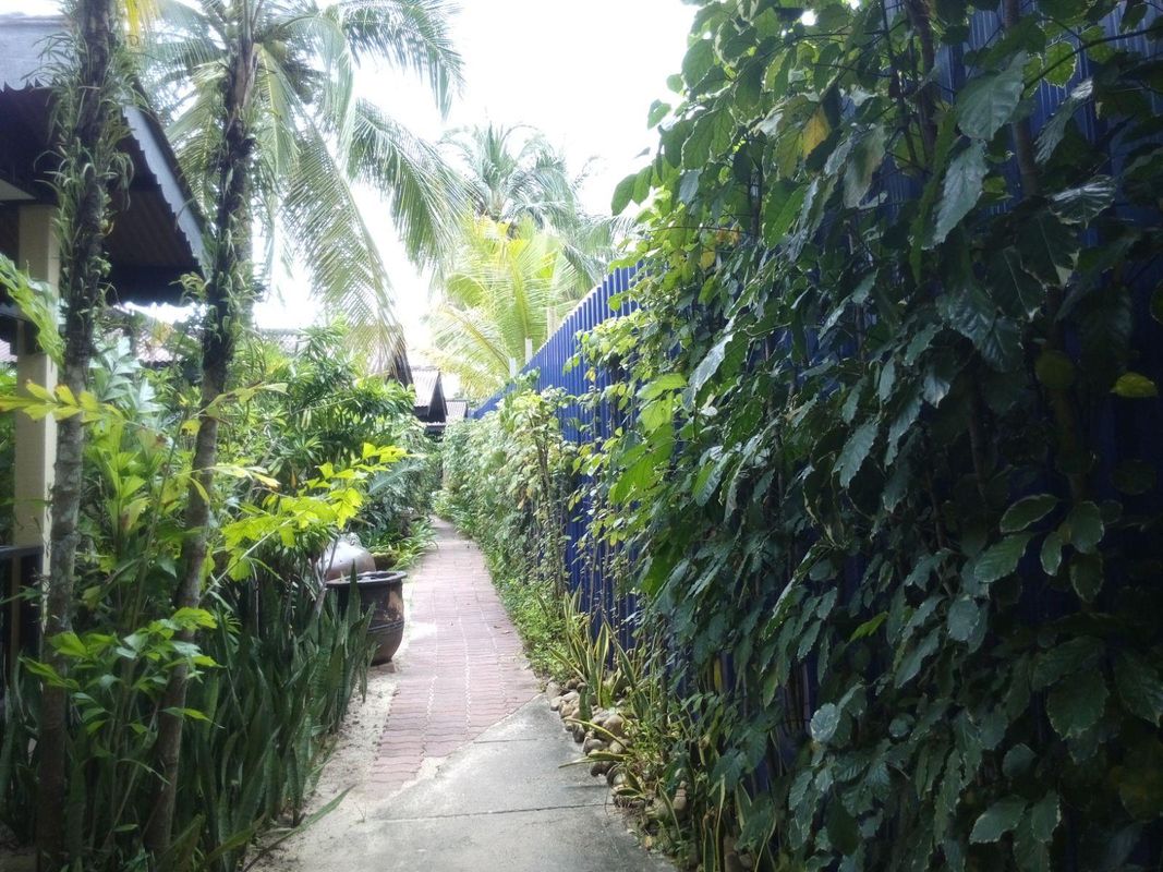 Sunset Beach Resort фото 6