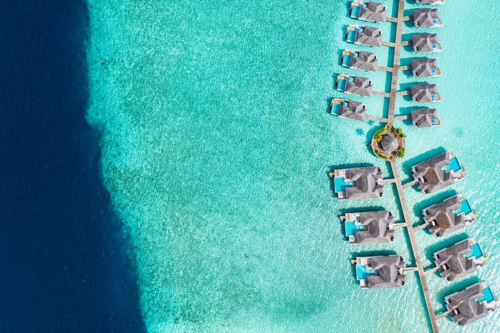 Finolhu Seaside Collection фото 72