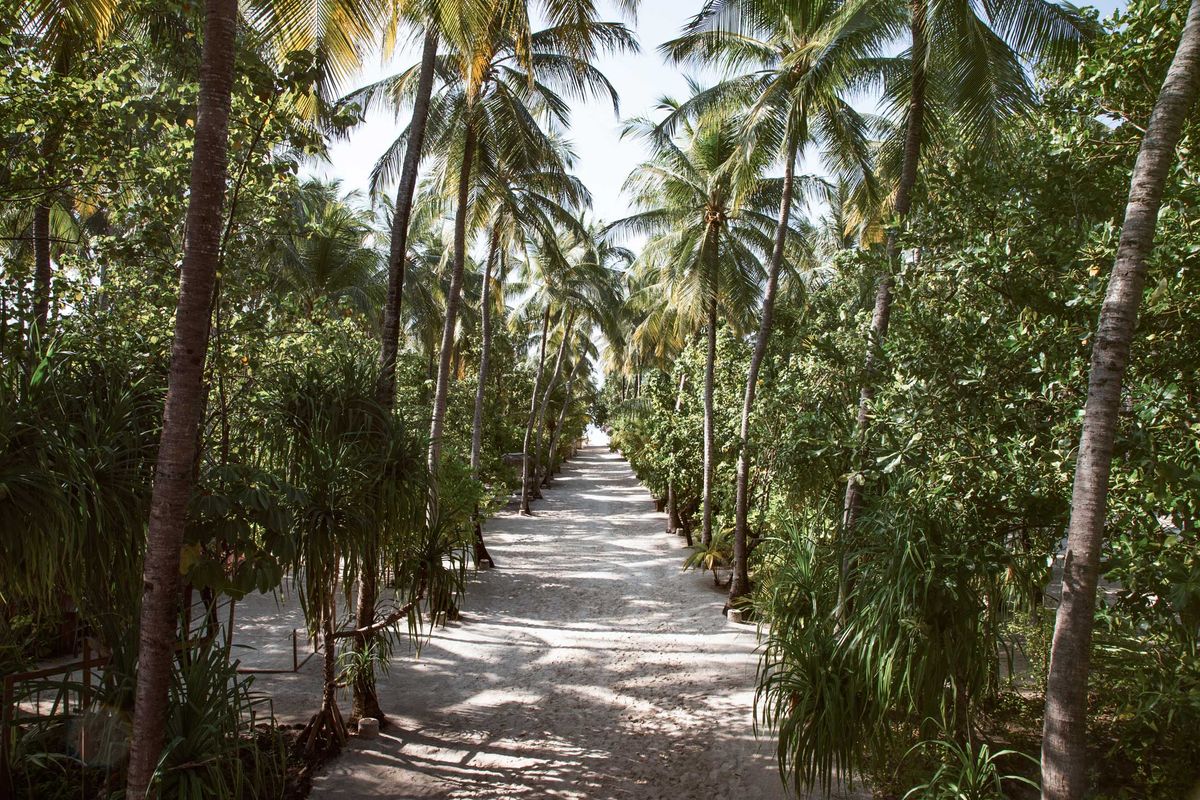 Nakai Maayafushi Resort фото 68