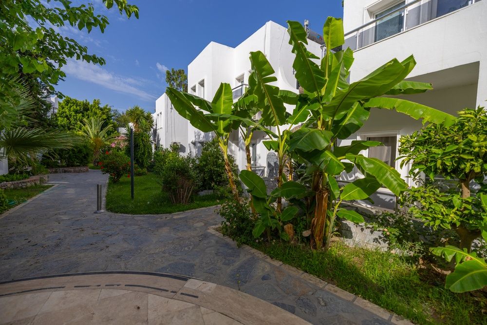Ladonia Hotels Leo Beach Resort (Adults Only) фото 34