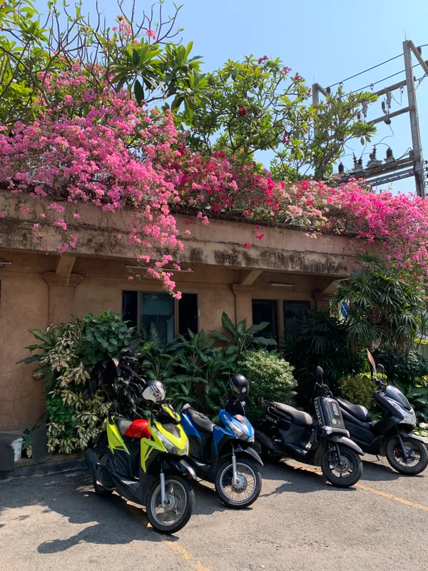 Plumeria Resort фото 48