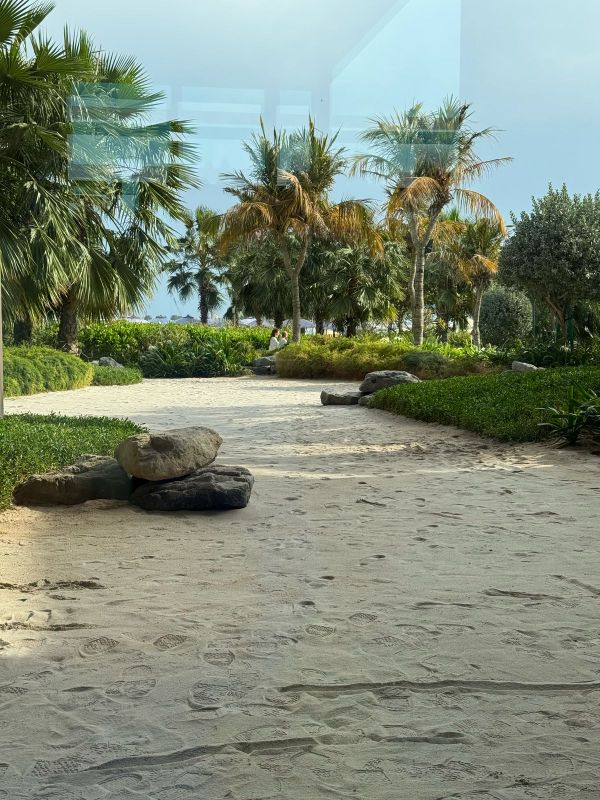 Movenpick Resort Al Marjan Island фото 77