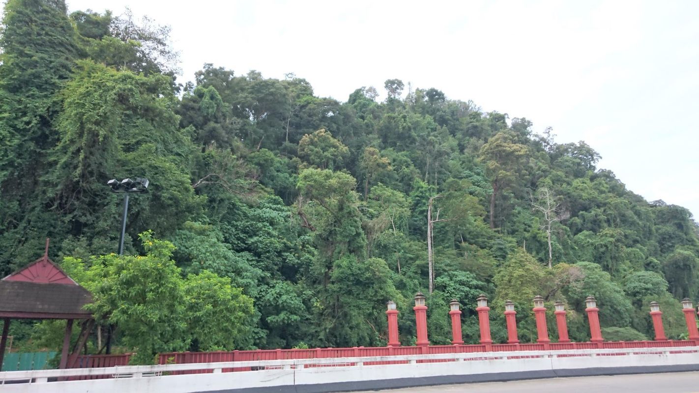 The Krabi Forest Homestay фото 13