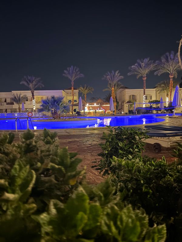 Viva Sharm Hotel фото 61
