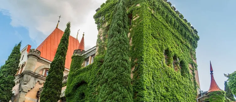 Фото отеля Утес