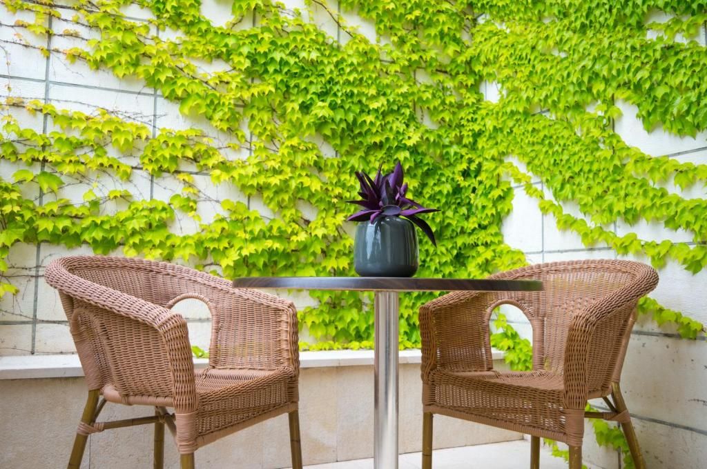 Hotel Admiral фото 22