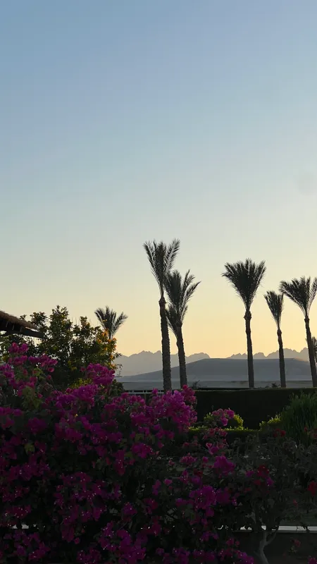 Movenpick Waterpark Resort & Spa Soma Bay фото 49