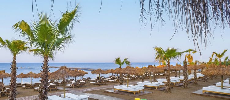 Фото отеля Rubi Platinum Sign