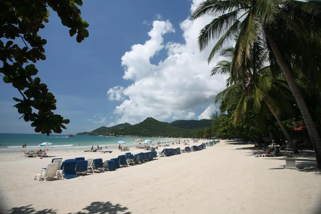 Samui First House Hotel фото 60