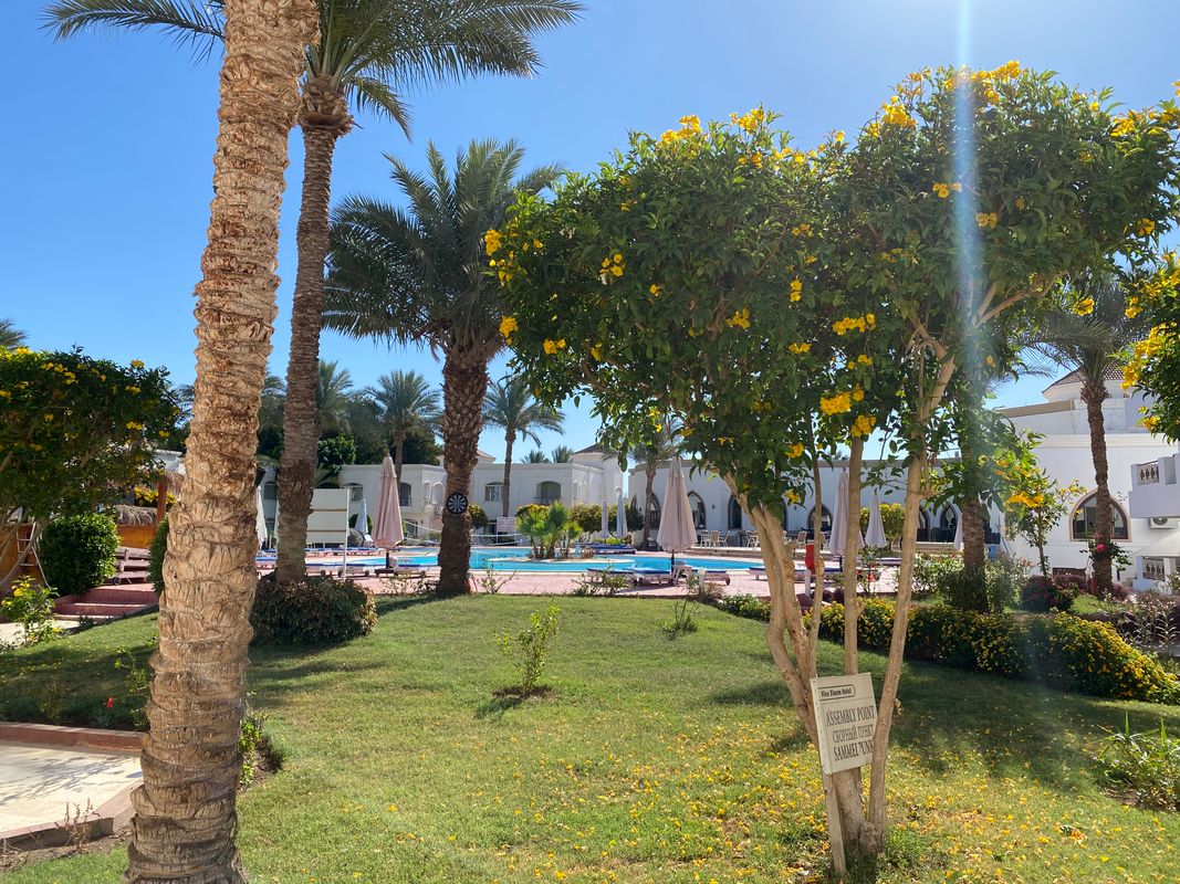 Viva Sharm Hotel фото 99