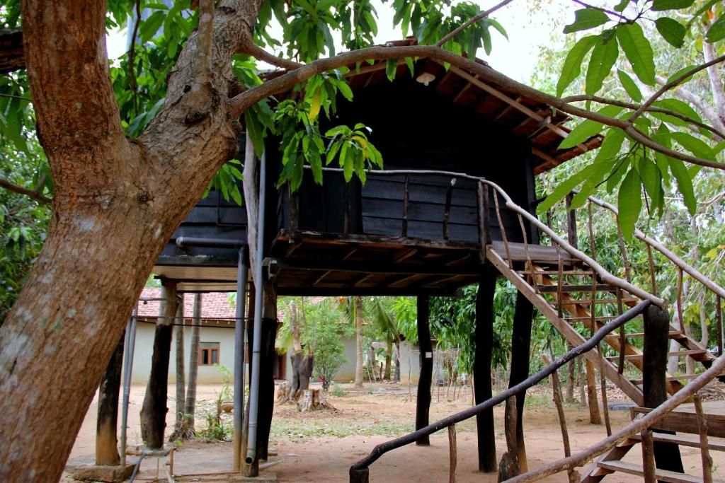 Eagle's Wings Guest House фото 20