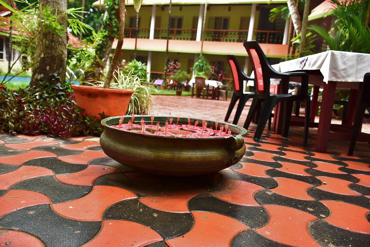 Ideal Ayurvedic Resort фото 4