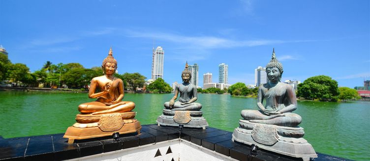 Фото отеля Colombo City Hotel