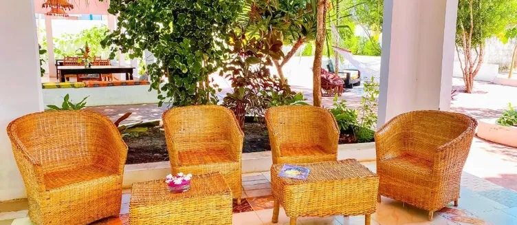 Фото отеля Papaya Guest House Nungwi