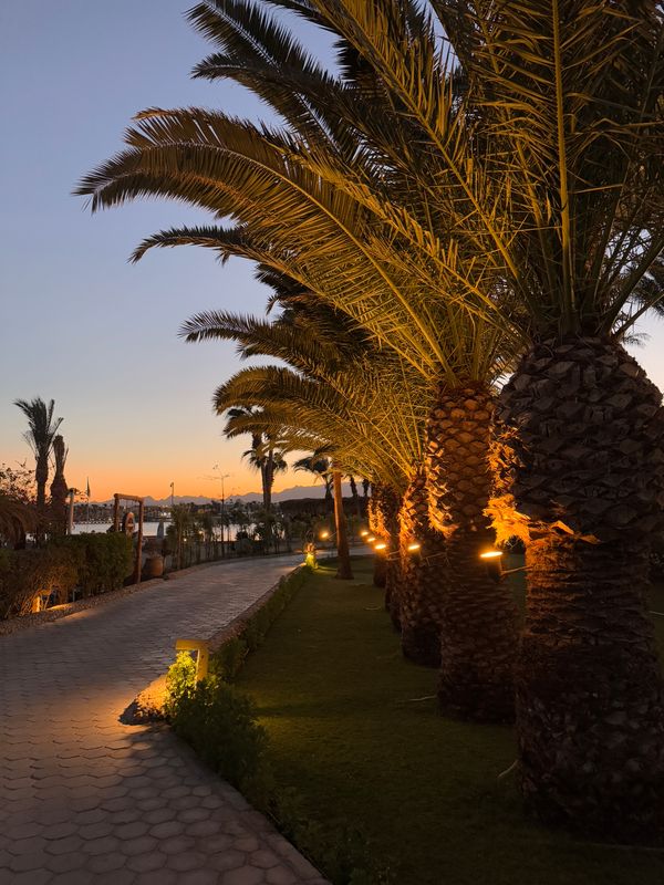 Fort Arabesque Resort, Spa & Villas фото 48