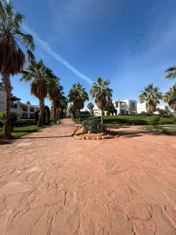Amphoras Aqua Hotel (Adults Only) фото 63