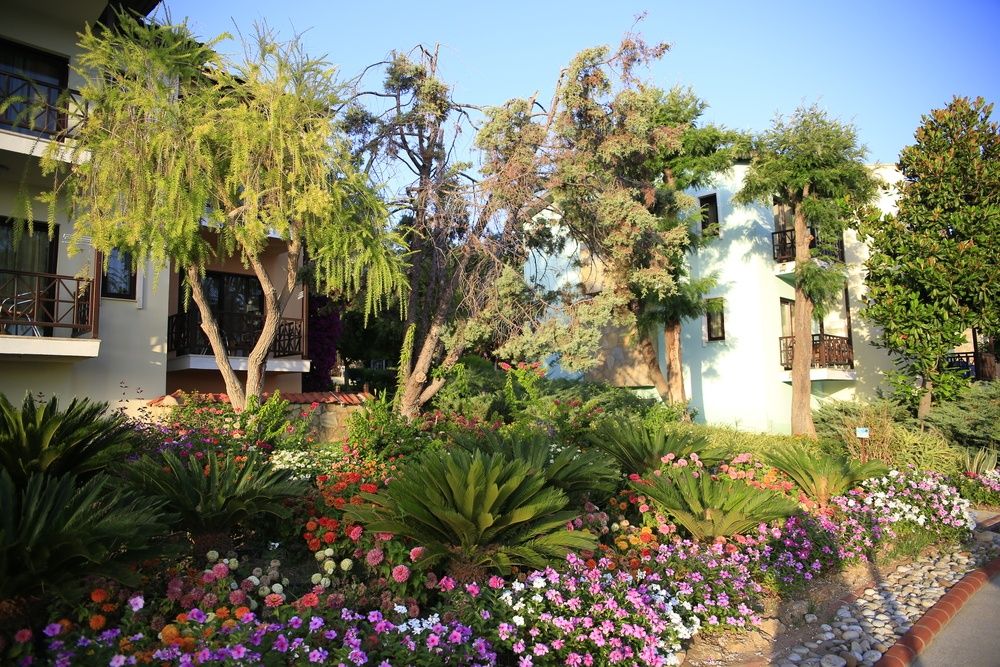 Gypsophila Holiday Village фото 117