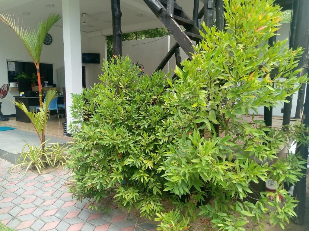 Green Ocean Bay фото 45