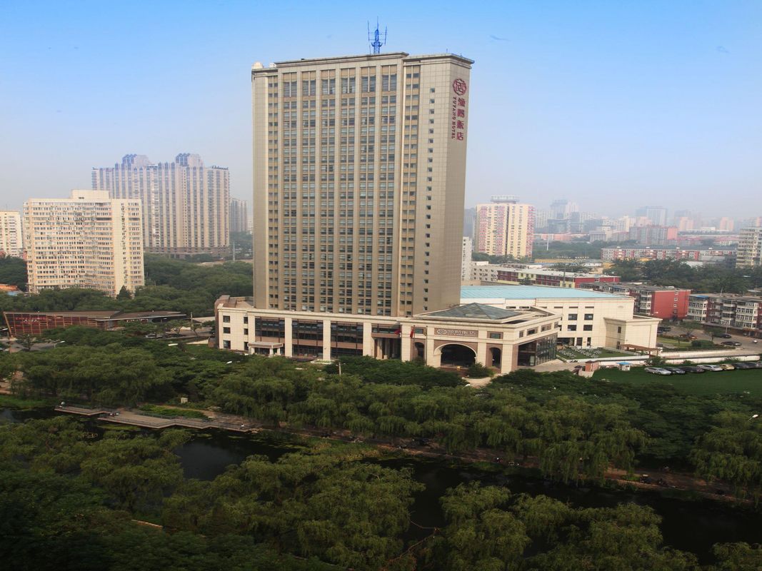 Yu Yang фото 7