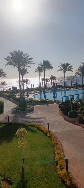 Renaissance Sharm El Sheikh Golden View Beach Resort фото 65