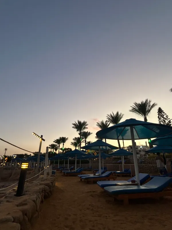 Pickalbatros Royal Grand Resort Sharm El Sheikh (Adults Only) фото 110