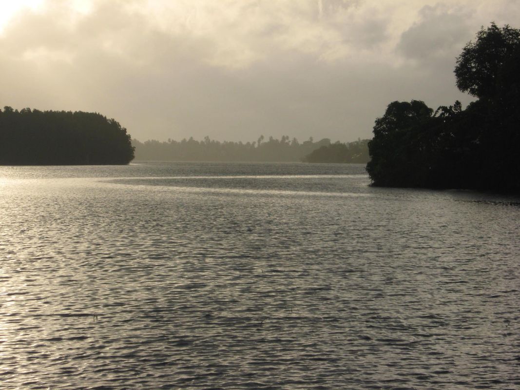 Mangrove Villa - Bentota River фото 6