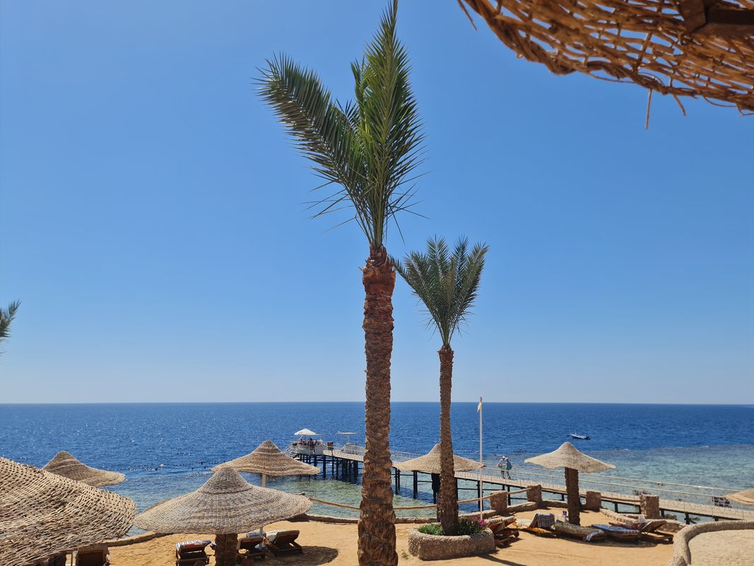 Monte Carlo Sharm El Sheikh Resort фото 113