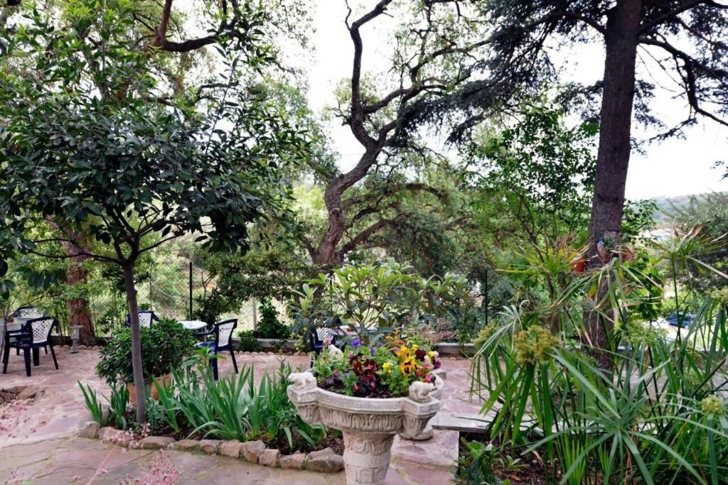 Hostal Magnolia фото 61