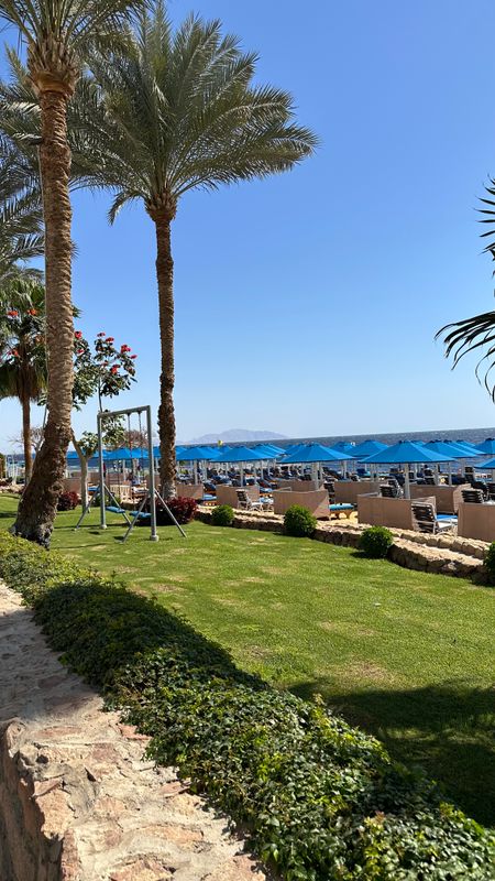 Pickalbatros Royal Grand Resort Sharm El Sheikh (Adults Only) фото 71
