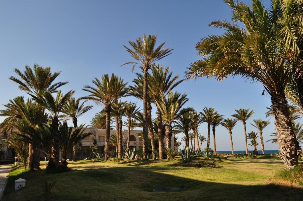 Zita Beach фото 11