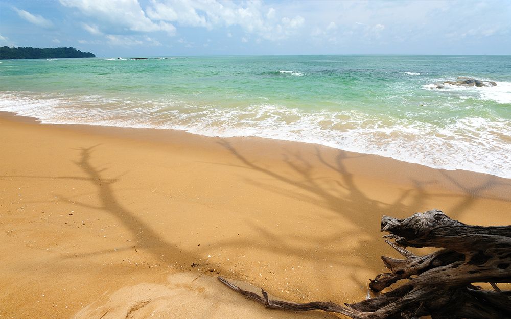 The Sands Khao Lak by Katathani фото 42