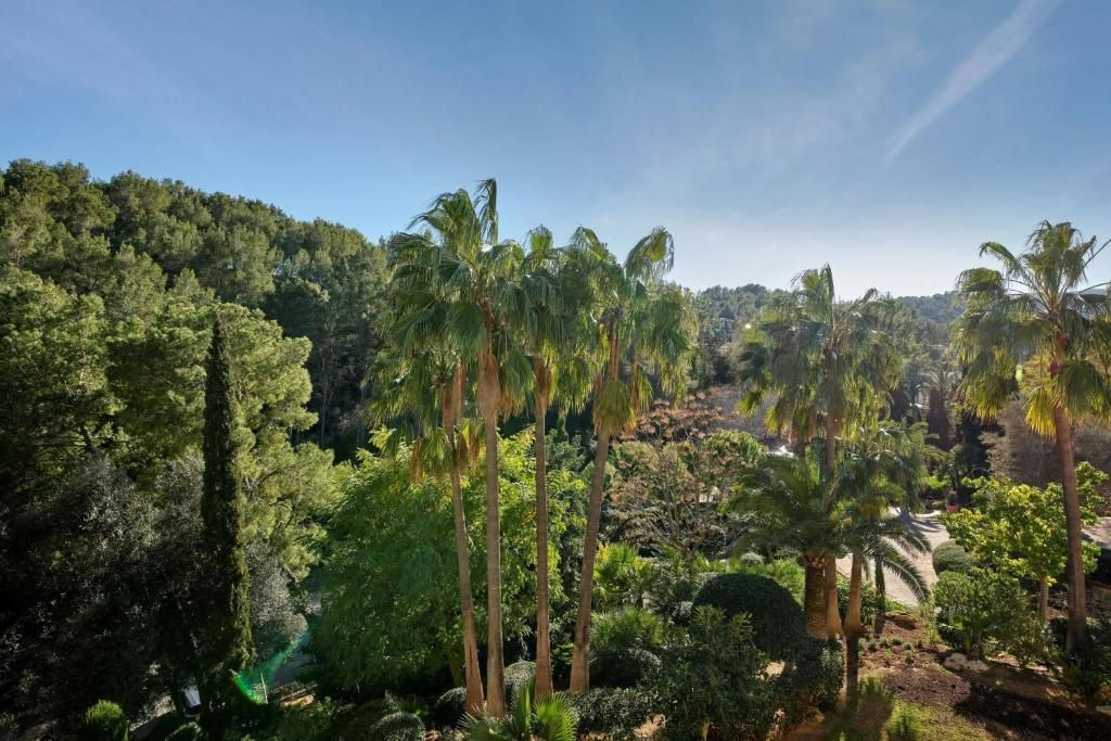 Sheraton Mallorca Arabella Golf Hotel фото 26