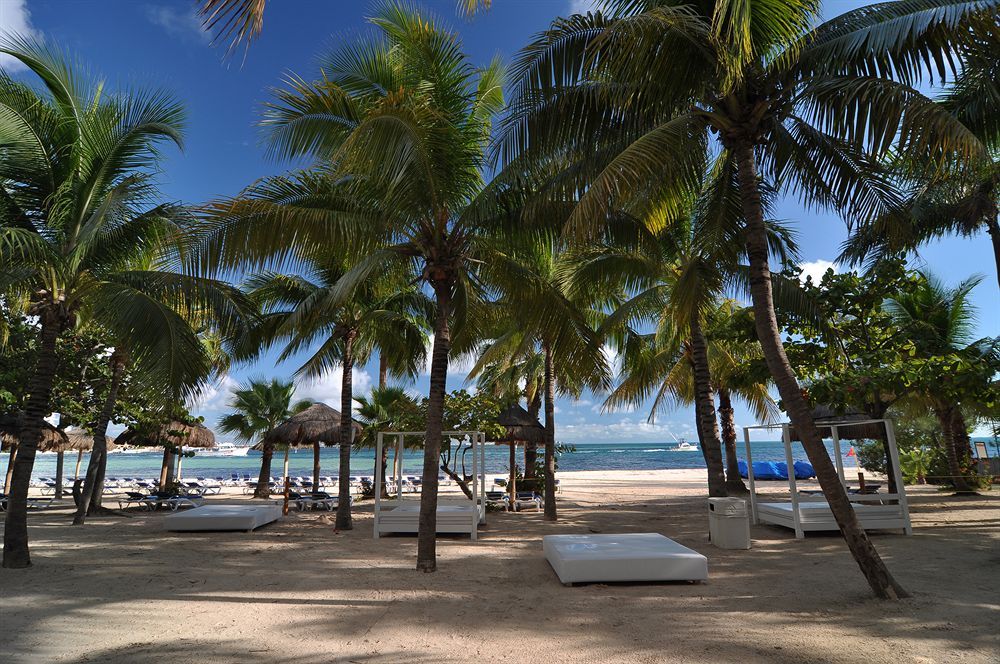 Grand Oasis Palm - All inclusive фото 32