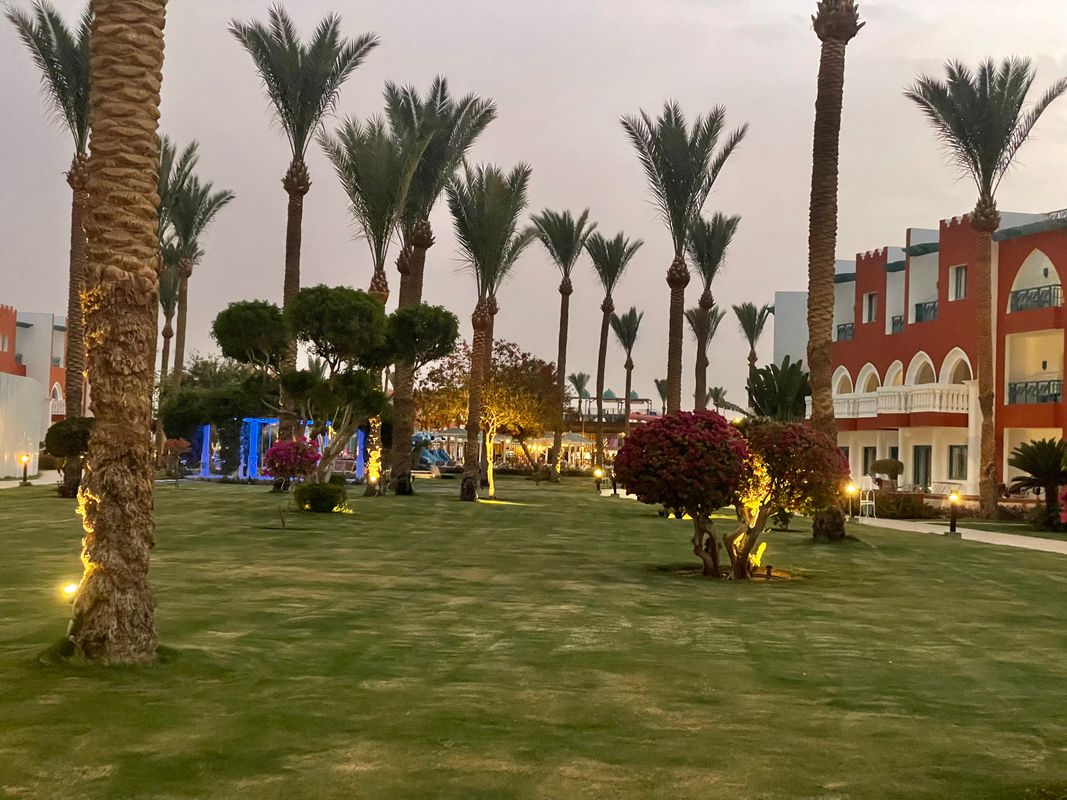 Sunrise Garden Beach Resort фото 62