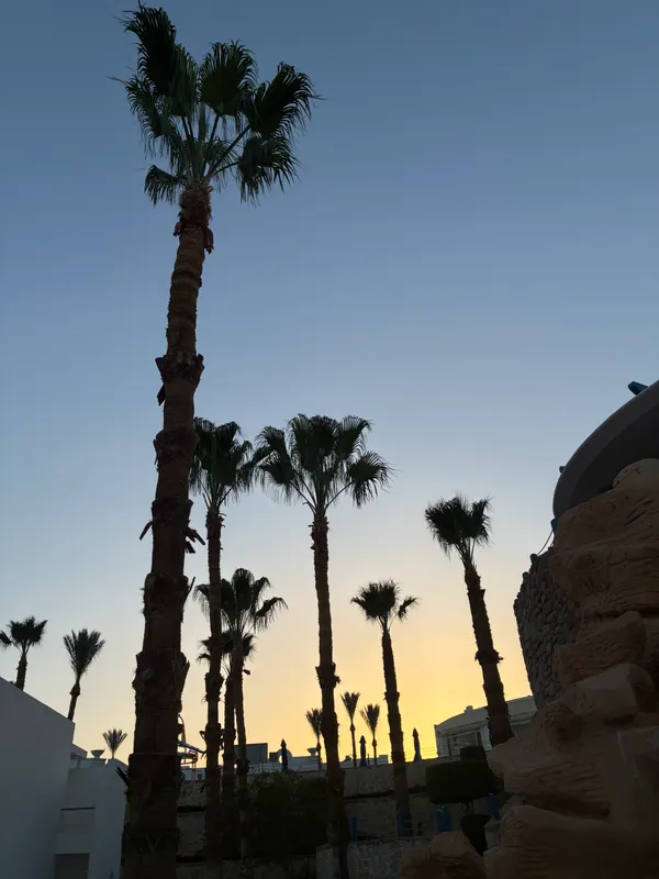 Renaissance Sharm El Sheikh Golden View Beach Resort фото 70