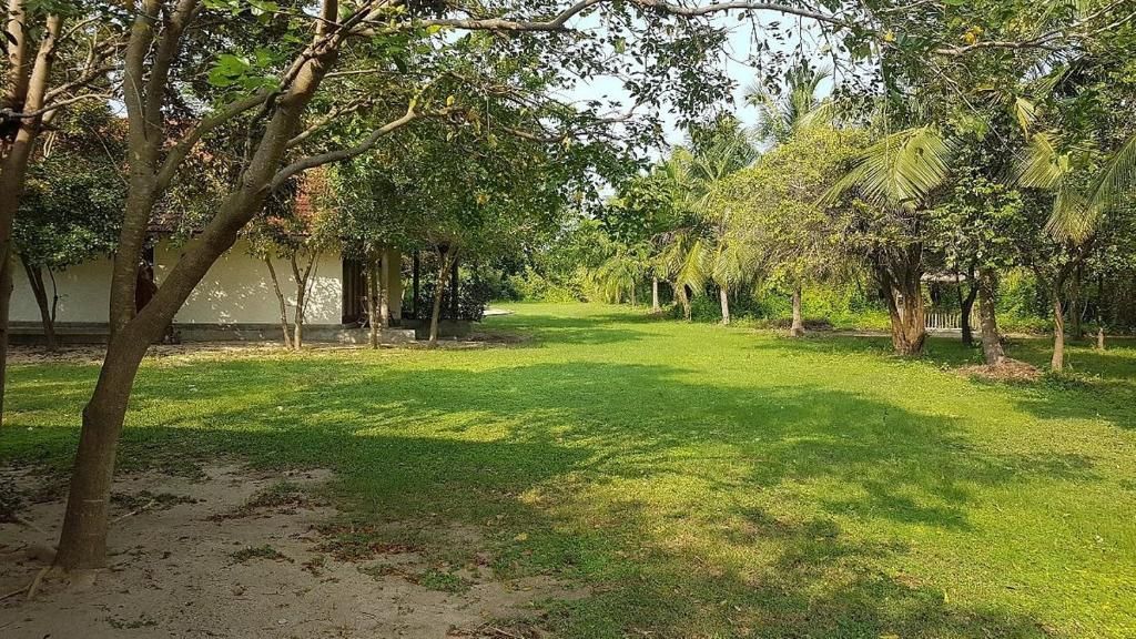 Giman Free Beach Resort фото 27
