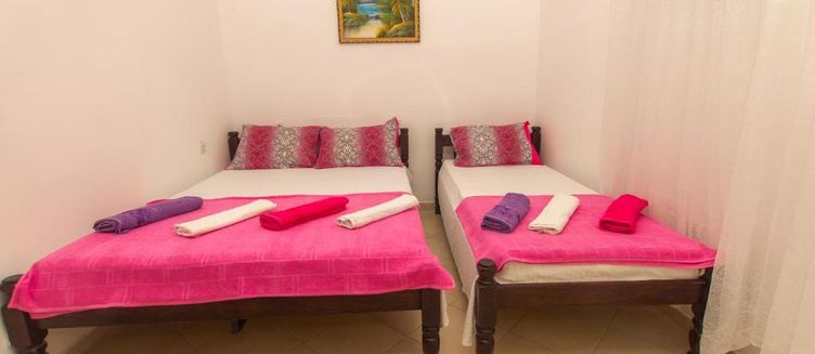 Фото отеля Apartments Petković