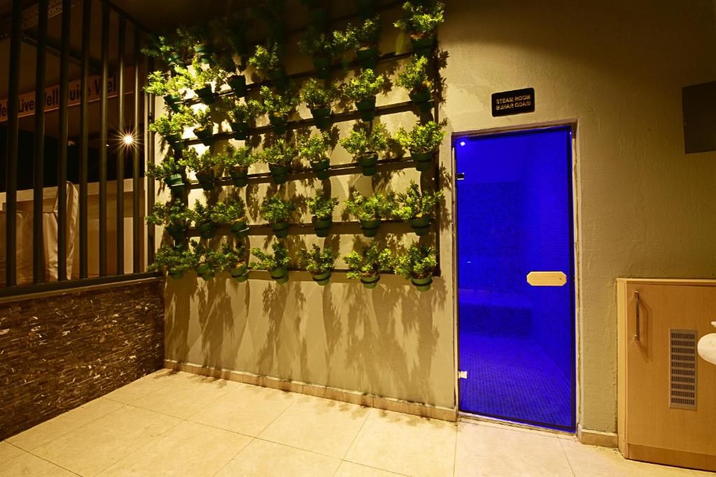 Jasmin Elite Residence фото 19