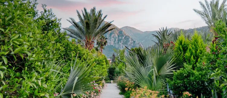 Фото отеля Azur Hotel