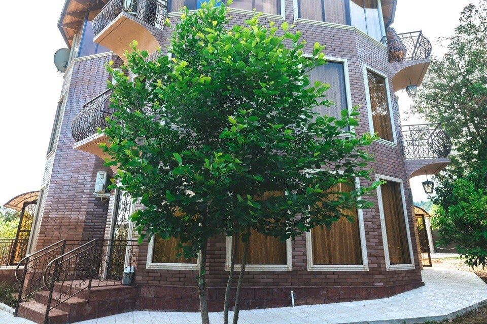Гостевой дом «Гостевой дом «Villa Familia»» фото 53