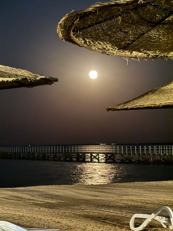 Edge Rotana Sea Beach фото 137