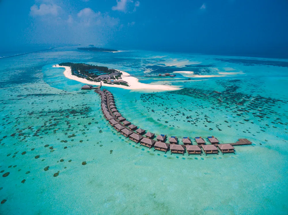 Cocoon Maldives фото 31