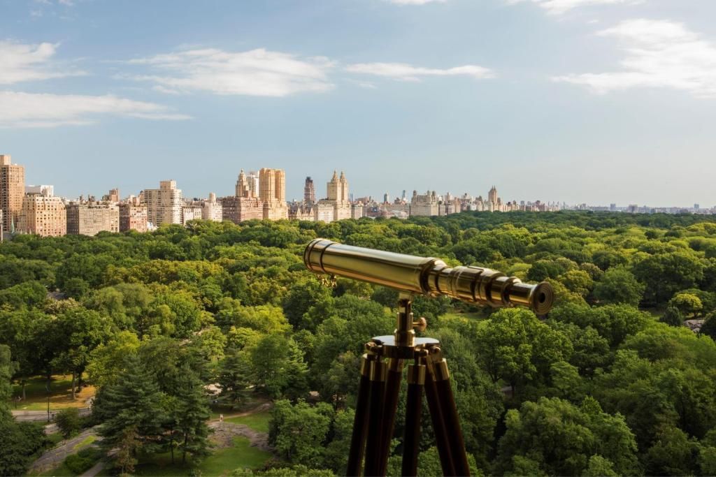 The Ritz-Carlton New York, Central Park фото 21