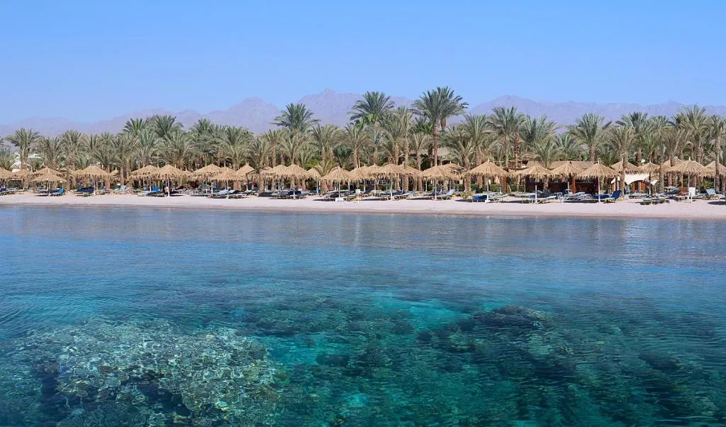 Sharm Dreams Vacation Club фото 6