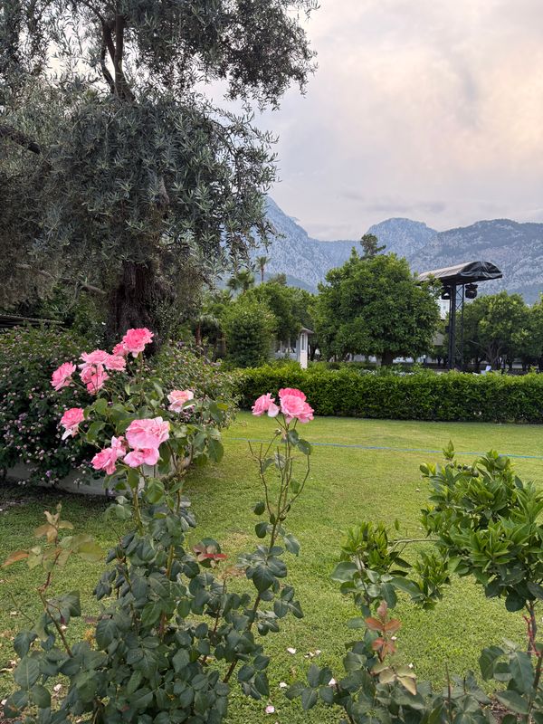 Selcukhan Hotel фото 44