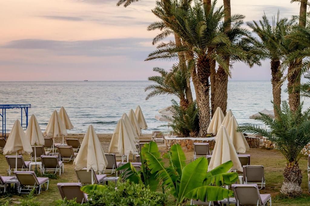 Zeus Hotels Palm Beach фото 23
