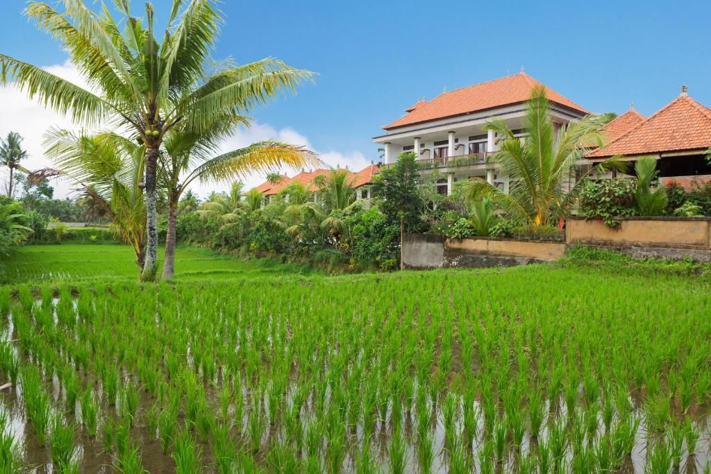 Kiskenda Cottages фото 16
