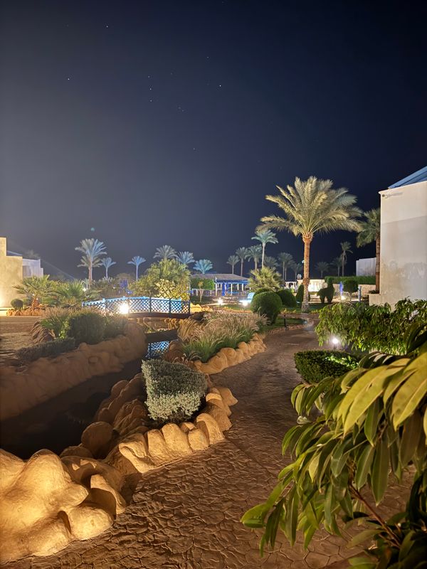 Renaissance Sharm El Sheikh Golden View Beach Resort фото 120