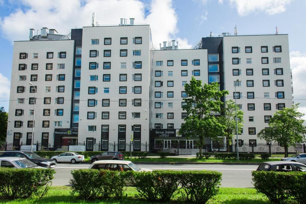 Белое дерево фото 56